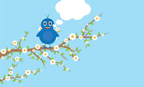 Bird on a tree